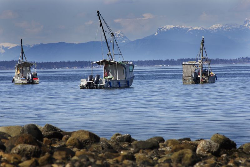 Fishing boats at anchor off the BC coast Canada