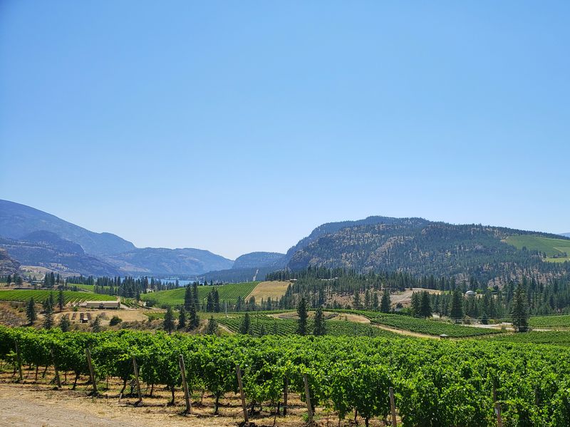 Overlooking Liquidity Wines near Okanagan Falls BC